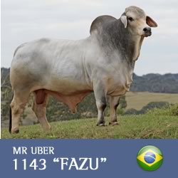 uber-brahman