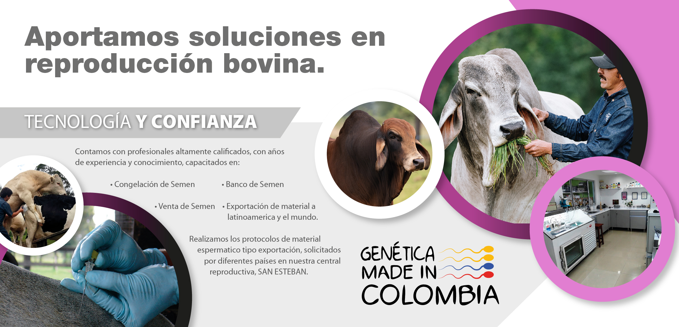 slider-empresarial