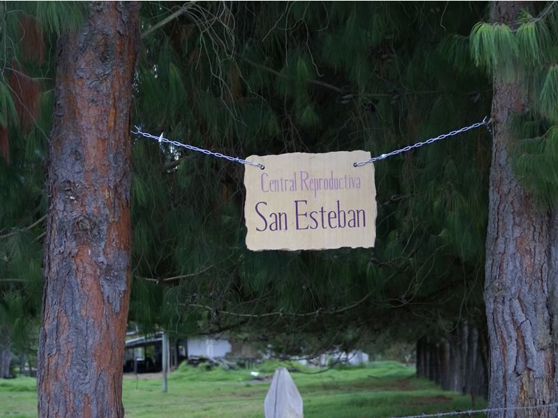 san-esteban1