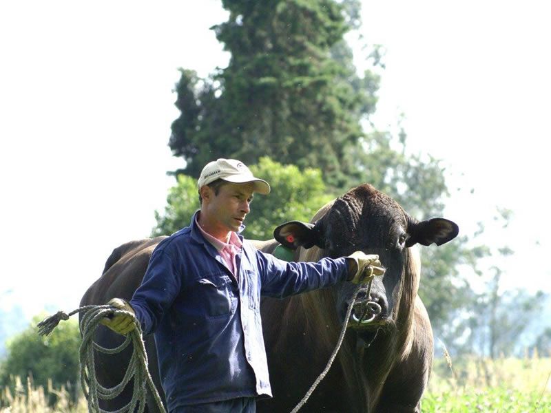 san-esteban6