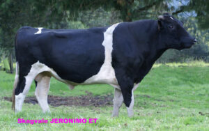 Jeronimo