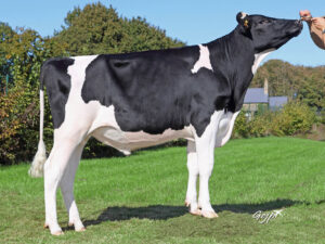 Isitolo H2E