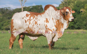 Alabama Atlas