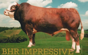 Impressive