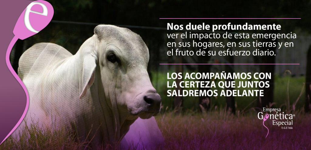 slider-ACOMPANAMIENTO2026-01
